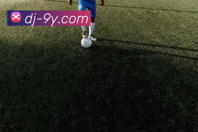 九游官网平台生态图