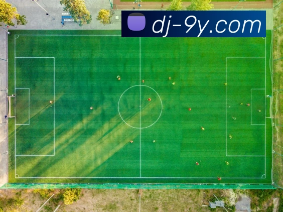 数据防护可视化